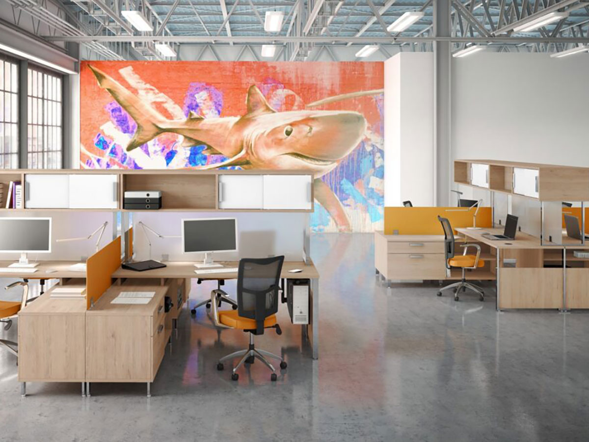 Level Open Space Collection - Image 5