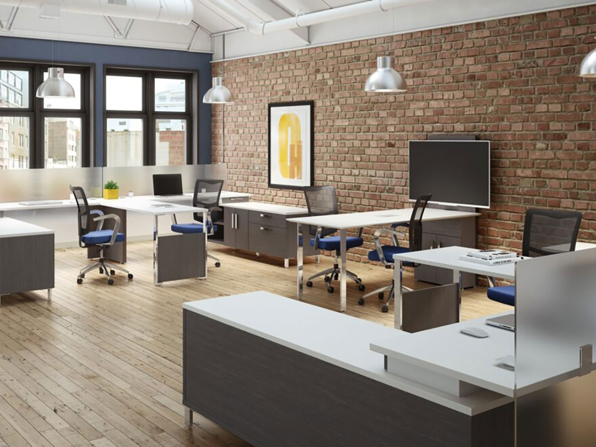 Level Open Space Collection - Image 4