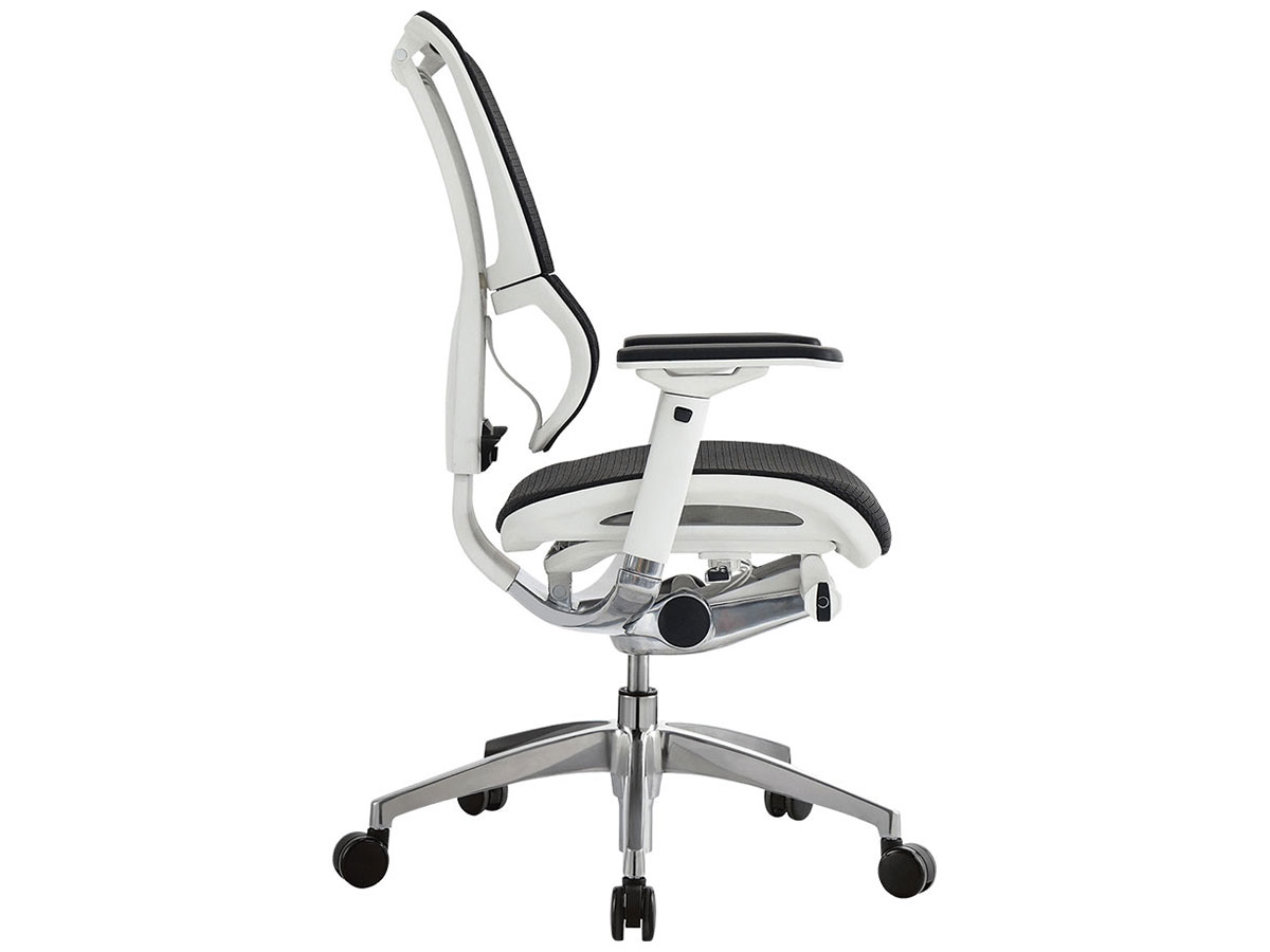 iOO Collection - Image 7